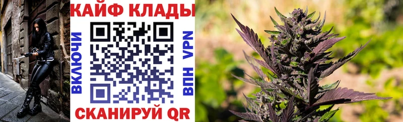 Как найти наркотики Елец Псилоцибиновые грибы  Марихуана  МЕФ  Гашиш  КОКАИН  Alpha PVP 