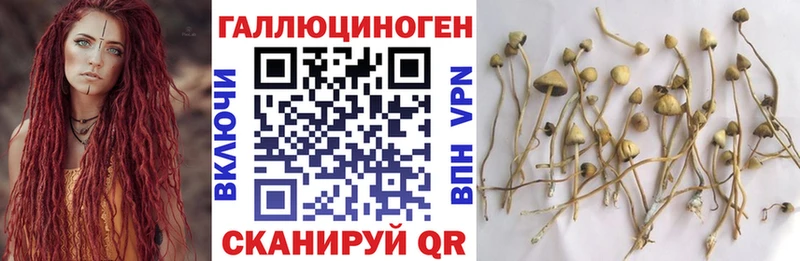 Псилоцибиновые грибы мицелий  Елец 