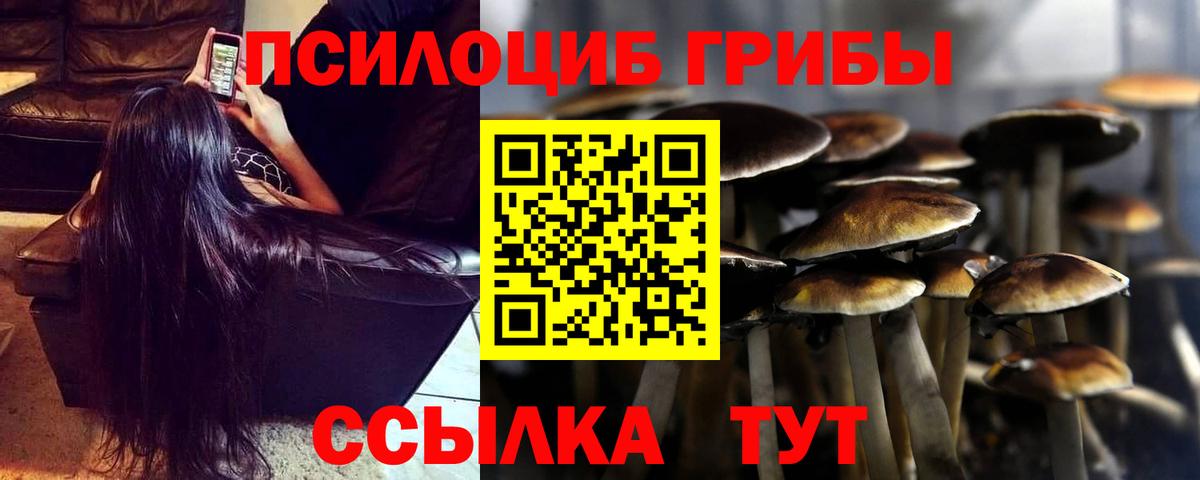 Псилоцибиновые грибы мицелий  где найти наркотики  Елец  Вход с VPN 