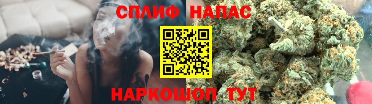Канабис сатива Елец